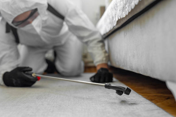 Professional Pest Control technician working in Lawrence County County, KY